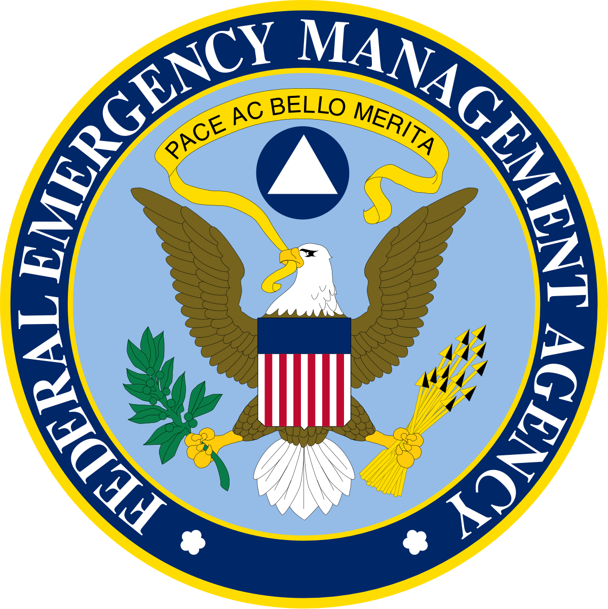 FEMA Logo